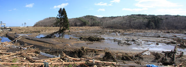 平成23年3月11日 津波