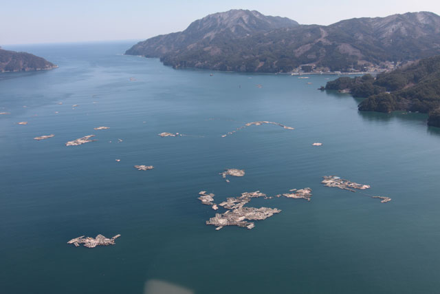 Aerial photography / Aerial photograph