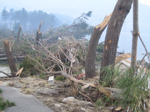 Offered by Agriculture and forestry Division / 15 Mar, 2011 / Uranohama Sluice gate (Photography by unit chief, Ono)