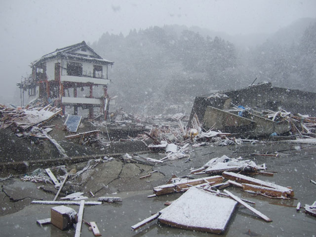 Offered by Agriculture and forestry Division / 23 Mar, 2011 /