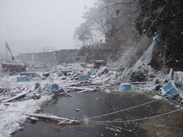 Offered by Agriculture and forestry Division / 23 Mar, 2011 / 