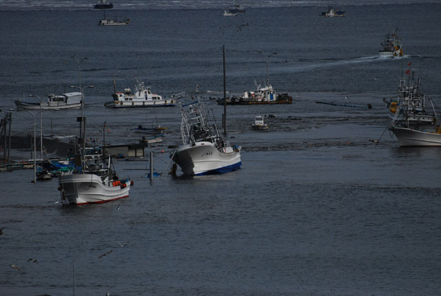 釜石 青紀土木 平成23年3月11日