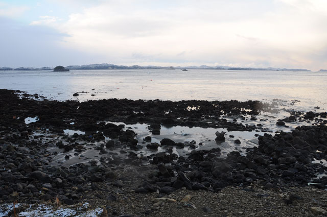 町民からの写真提供 震災 3月11日 16時~17時46分 吉田浜