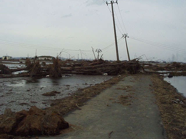 Wakabayashi / Municipal road / Damage