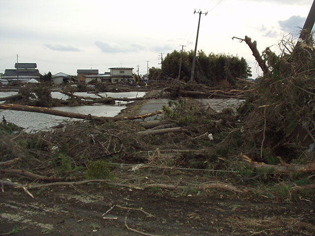 Wakabayashi / Municipal road / Damage
