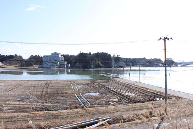 小高 被災 海岸