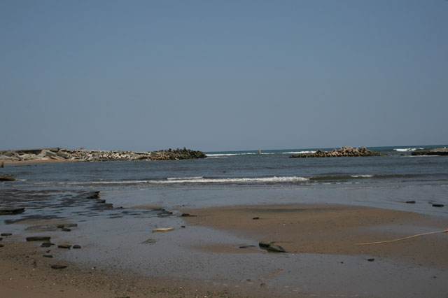 被災 埒浜 海岸