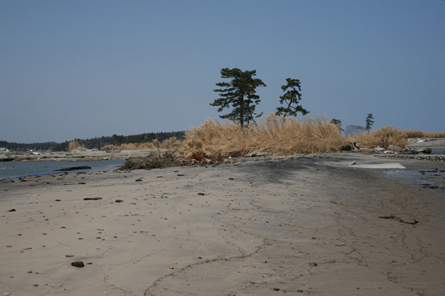 被災 埒浜 海岸