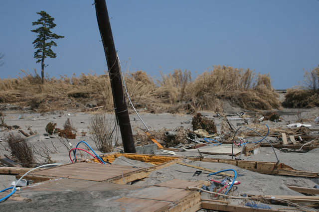 被災 埒浜 海岸