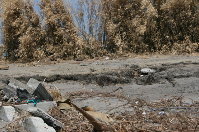被災 埒浜 海岸