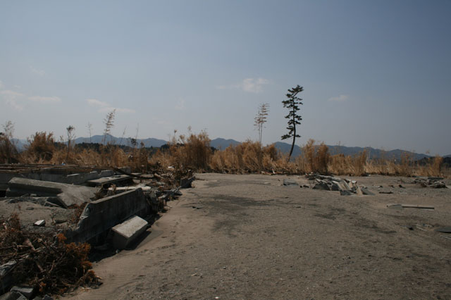 被災 埒浜 海岸