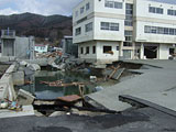 Iwate Yamada Offered by Agriculture and forestry Division / 23 Mar, 2011 /