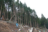 Iwate Tanohata Damage / Raga