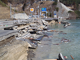 Iwate Yamada Damage